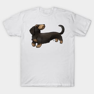 Dog - Wire-Haired Dachshund - Black and Tan T-Shirt